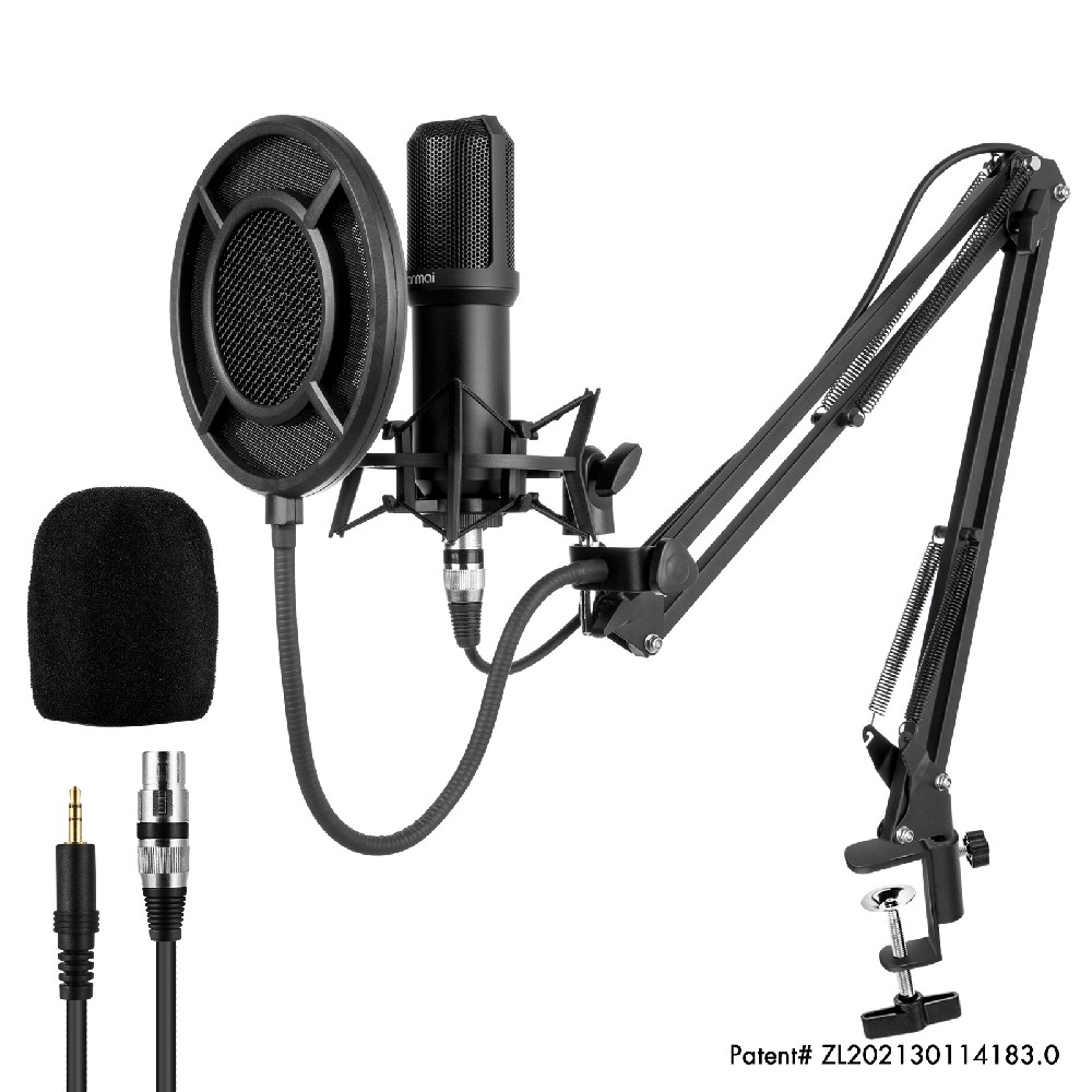 Q10 recording microphone set
