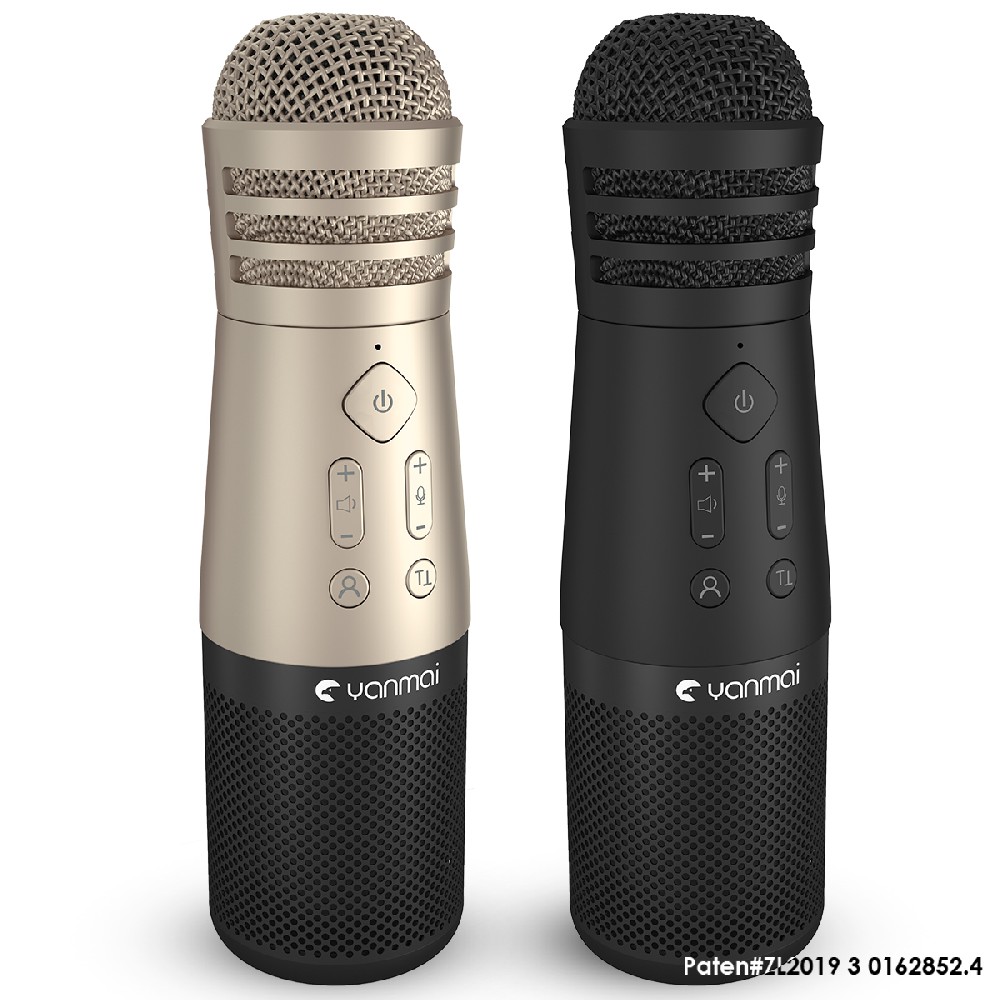 SF-999 Bluetooth Karaoke